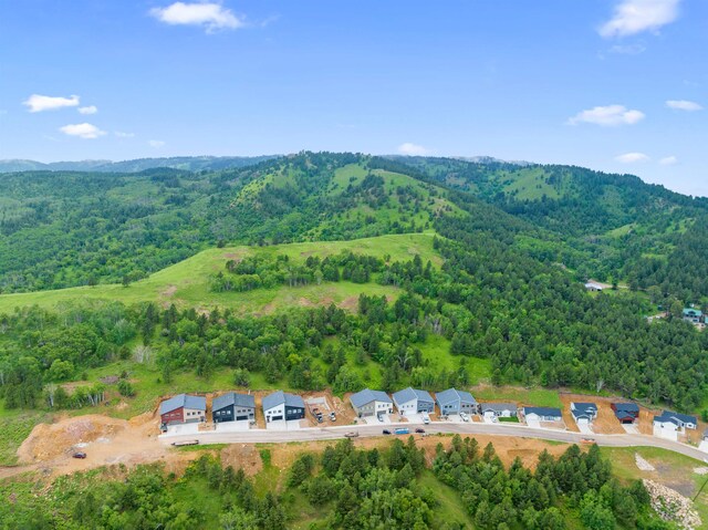LOT3BLK3TBD Mystery Wagon Rd, Deadwood, SD 57732