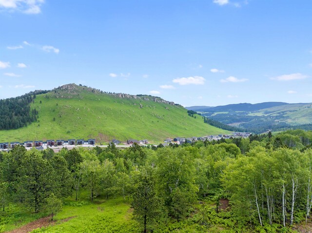 LOT3BLK3TBD Mystery Wagon Rd, Deadwood, SD 57732