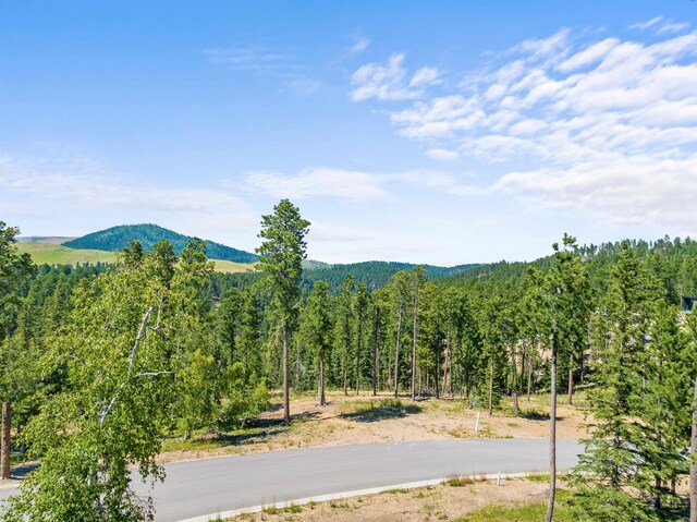 LOT19 Dancing Sky Ln, Lead, SD 57754