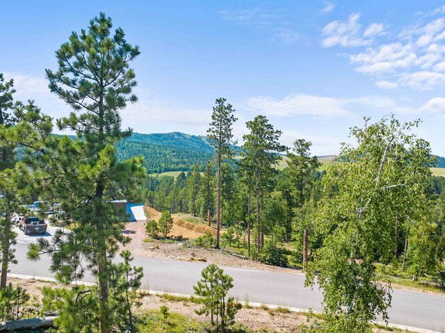 LOT19 Dancing Sky Ln, Lead, SD 57754