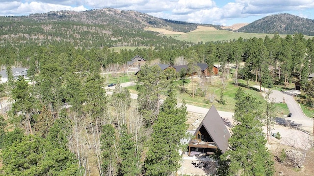 drone / aerial view featuring a mountain view