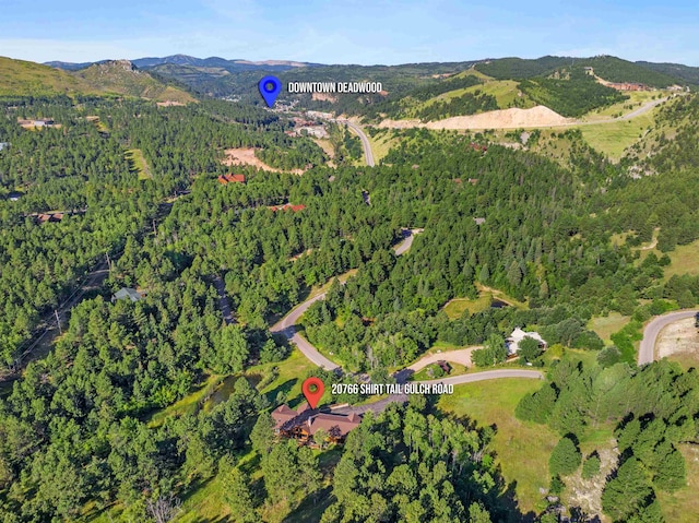 aerial view with a mountain view