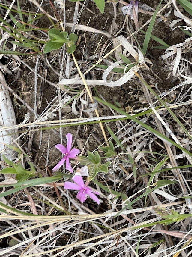 LOT39 Prairie View Loop, Whitewood, SD 57793