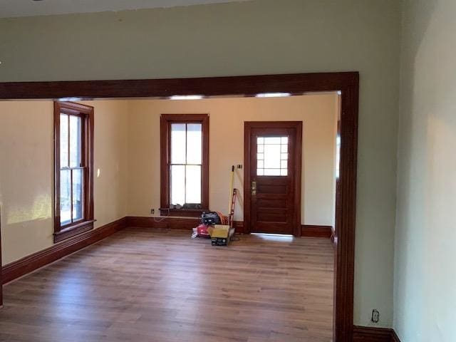 foyer entrance with wood-type flooring