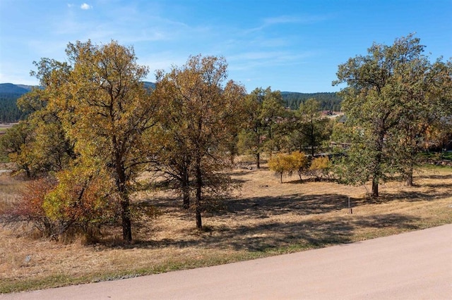 Listing photo 3 for LOT9 Vacation Ct, Sturgis SD 57785