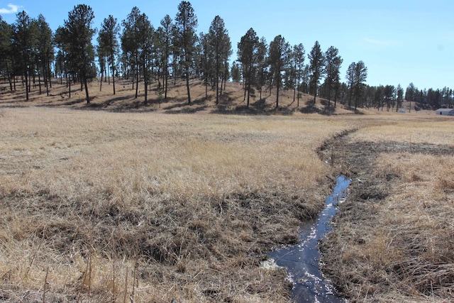 LOT4 S Star Dr, Custer SD, 57730 land for sale