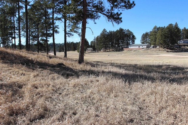 Listing photo 2 for LOT4 S Star Dr, Custer SD 57730