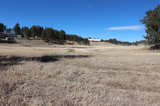 Listing photo 3 for LOT4 S Star Dr, Custer SD 57730