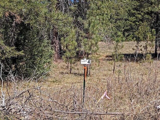 TBD Battle Mountain Rd, Hot Springs SD, 57747 land for sale