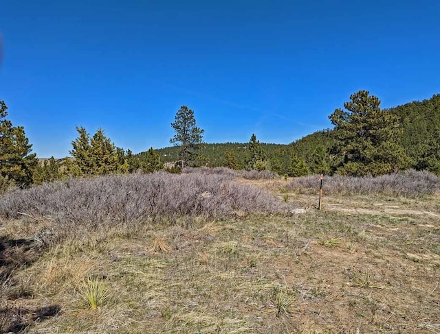 Listing photo 3 for TBD Battle Mountain Rd, Hot Springs SD 57747