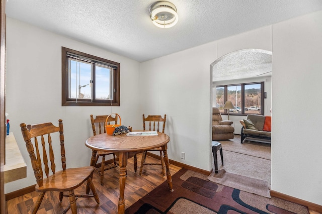 dining room featuring a textured ceiling