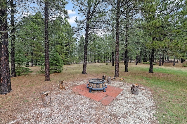 view of yard featuring a fire pit