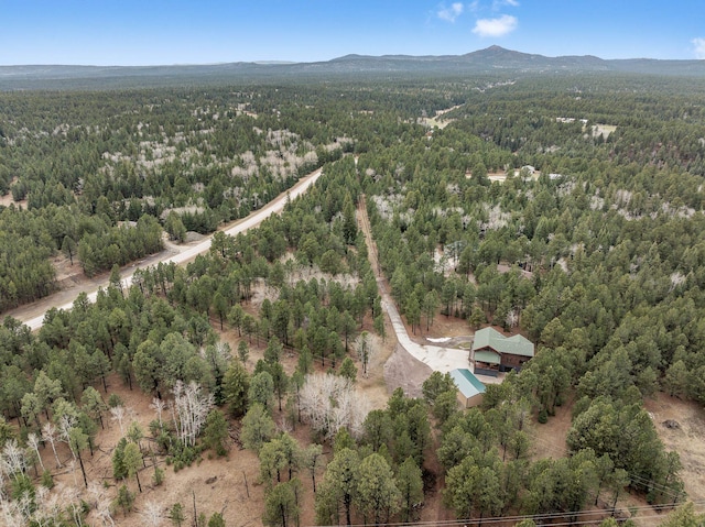 drone / aerial view featuring a mountain view