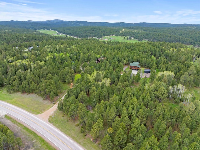 aerial view with a mountain view