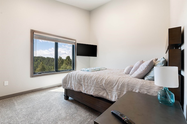 bedroom featuring carpet