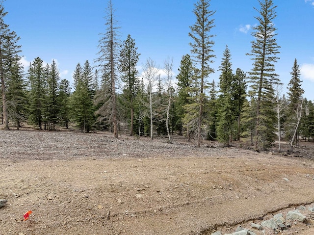 LOT12BLOCK8 Trailside Rd, Lead SD, 57754 land for sale