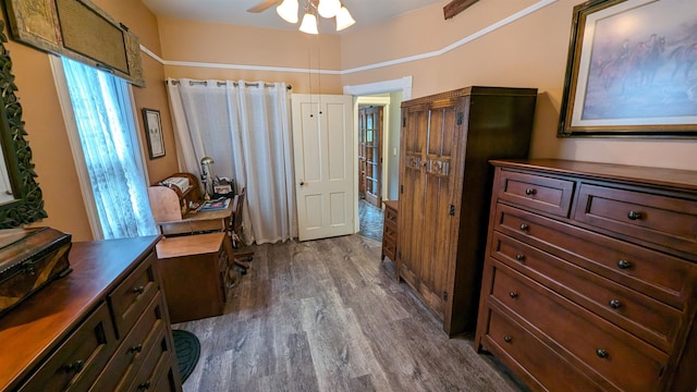 living area featuring ceiling fan and dark wood-type flooring