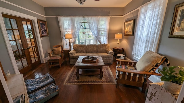 living room with wood-type flooring and french doors