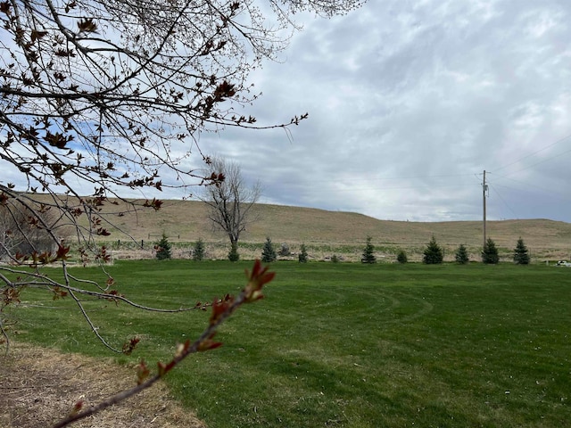 view of yard with a rural view