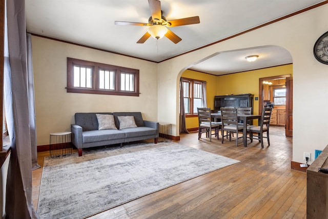 living room with hardwood / wood-style floors, ceiling fan, and crown molding