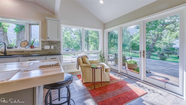 interior space with vaulted ceiling and sink