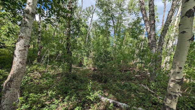 Listing photo 3 for LOT2BLK1TRC Last Chance Trl, Lead SD 57754