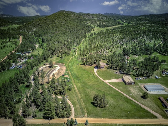 birds eye view of property with a mountain view