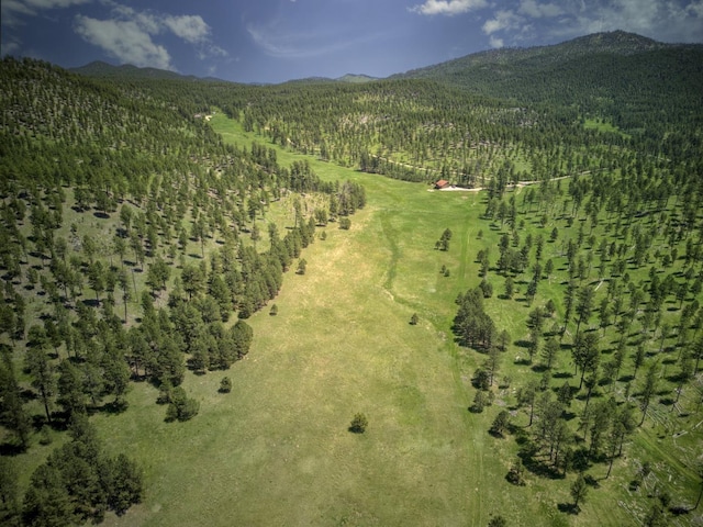 bird's eye view featuring a mountain view