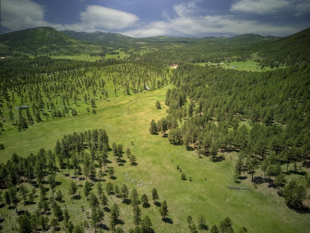 aerial view featuring a mountain view