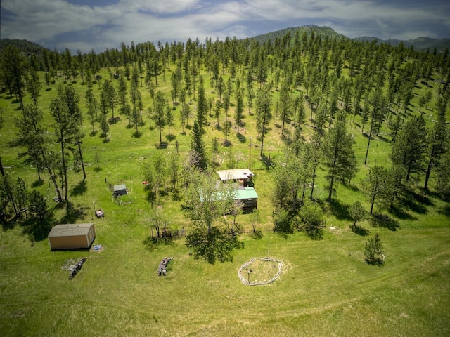 birds eye view of property with a mountain view and a rural view