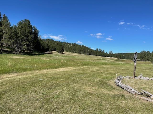 view of yard with a rural view