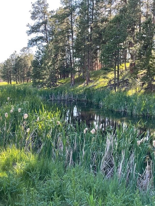 view of local wilderness featuring a water view