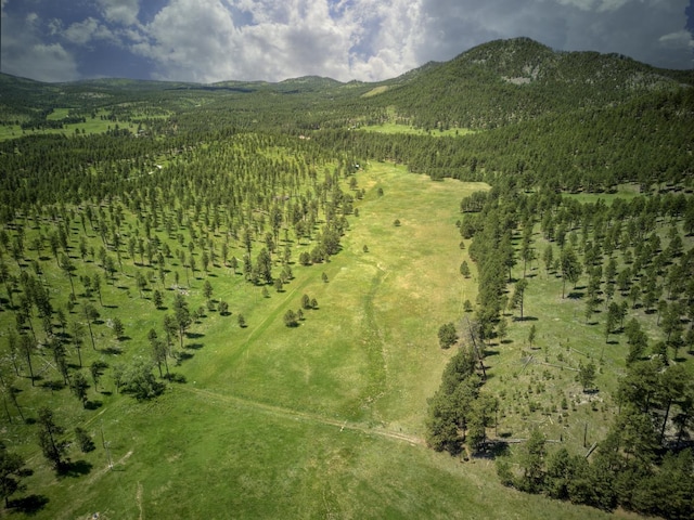 aerial view featuring a mountain view