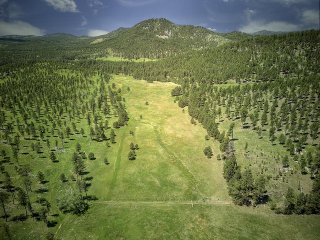 aerial view featuring a mountain view