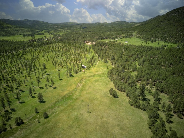 birds eye view of property featuring a mountain view