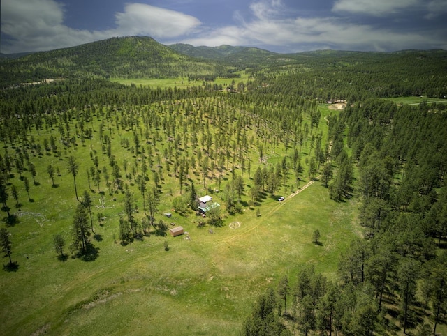 aerial view featuring a mountain view