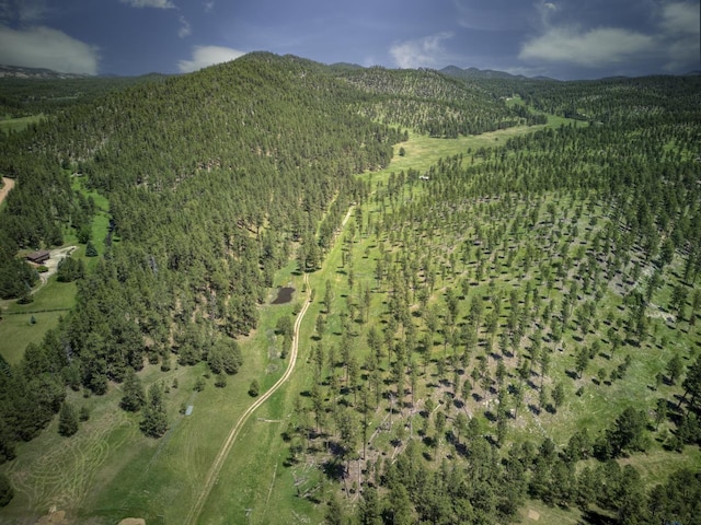 bird's eye view featuring a mountain view