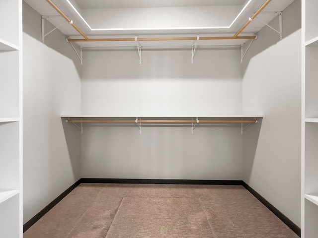 spacious closet with light colored carpet