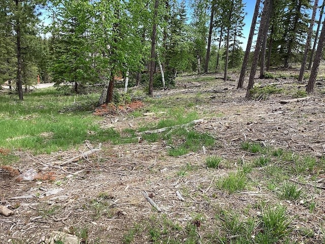 Listing photo 3 for LOT12 Overlook Ct, Lead SD 57754