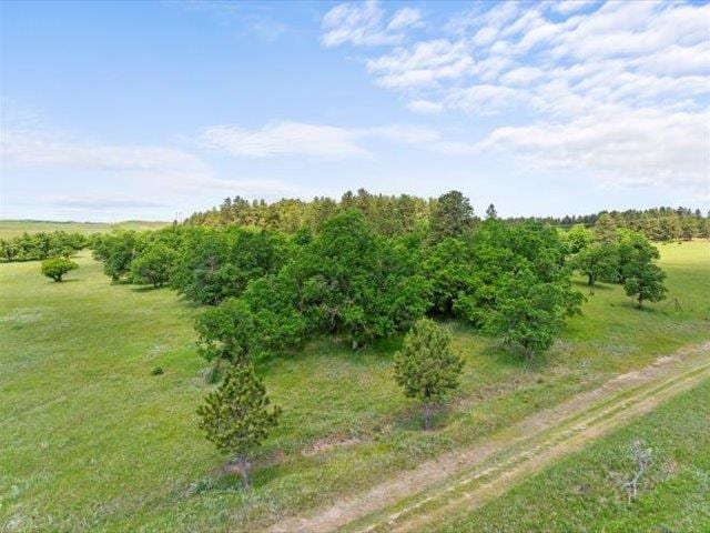 Listing photo 3 for TBD Weisman Rd, Whitewood SD 57793