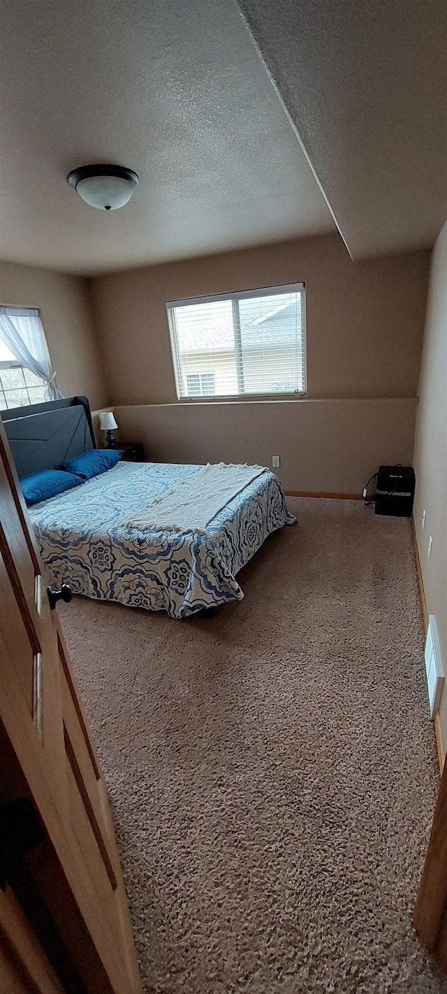 1013 Gladys St, Rapid City, SD 57701 - bedroom with carpet and a textured ceiling