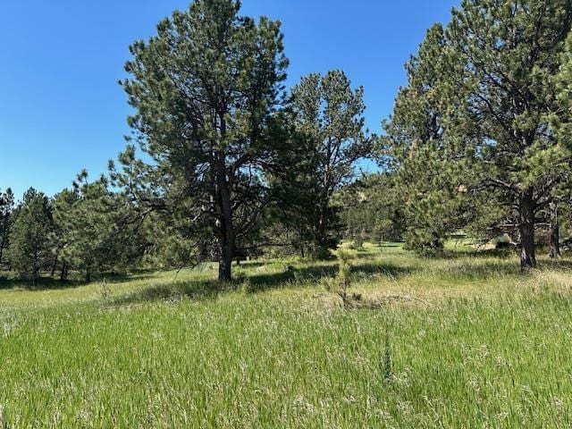 TBD Opal Ct, Newcastle WY, 82701 land for sale