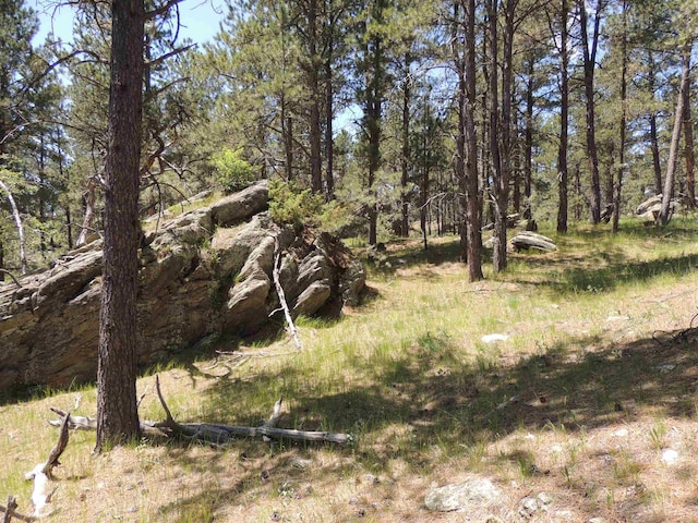 TR22DIAMONDE, Custer SD, 57730 land for sale