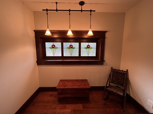 living area featuring a healthy amount of sunlight and dark wood-type flooring