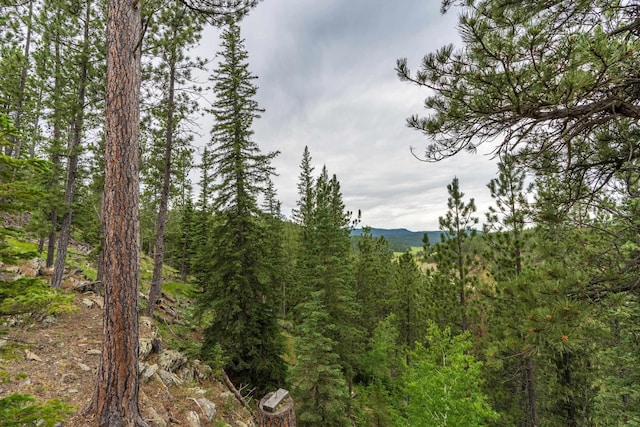 11504 Melchert Pl, Hill City, SD 57745 - view of local wilderness with a forest view