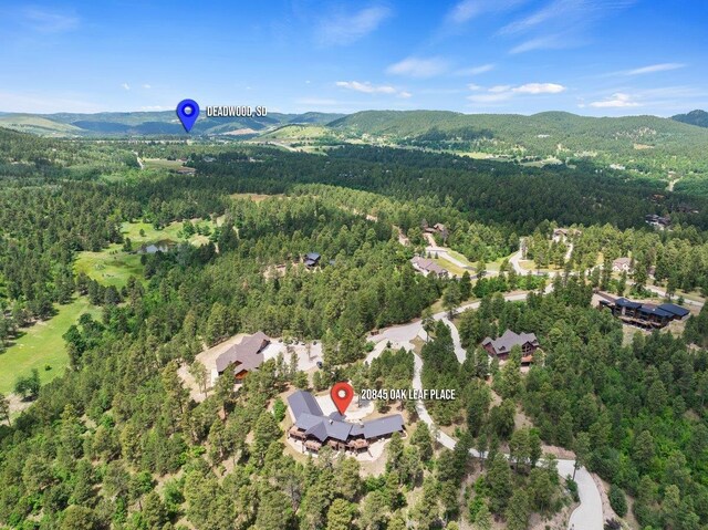 aerial view with a mountain view