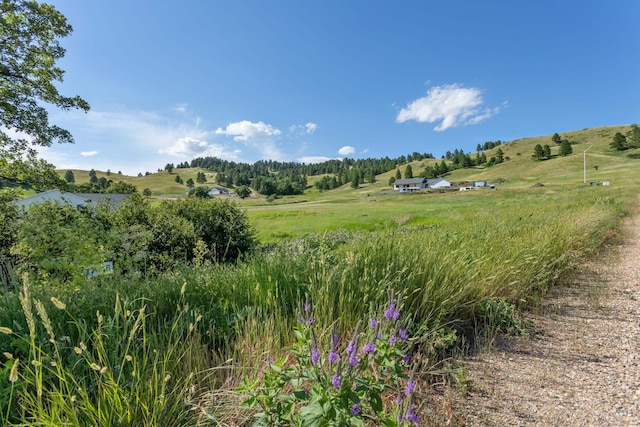 3908 Twisted Oak Rd, Sturgis SD, 57785 land for sale