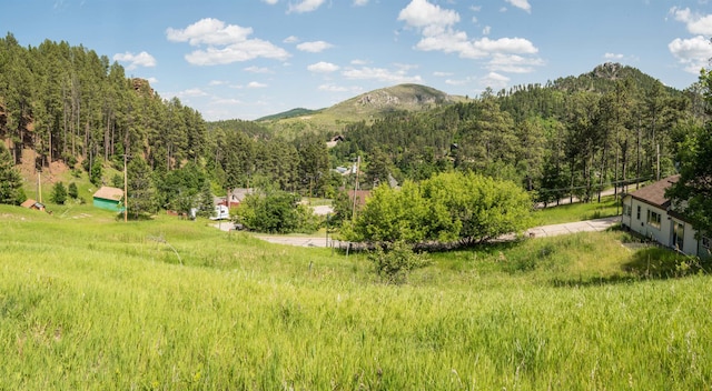 Listing photo 2 for TBD Burnham Ave, Deadwood SD 57732