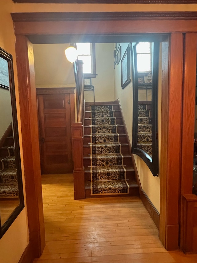 stairs featuring light hardwood / wood-style floors and a wealth of natural light