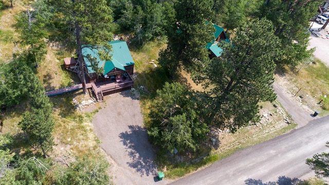 bird's eye view